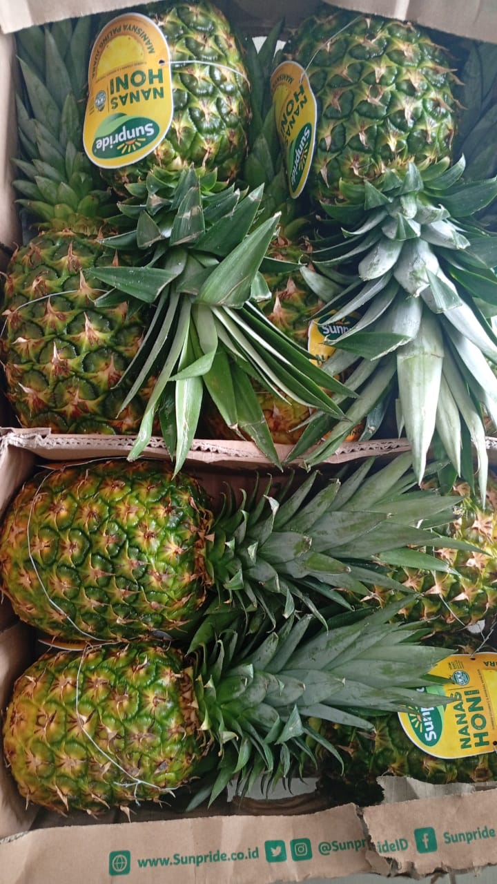 pineapple